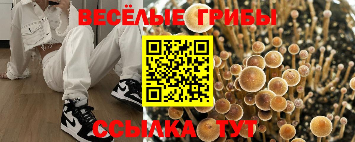 Галлюциногенные грибы Cubensis  Галлюциногенные грибы мухоморы  Люберцы  Вход с VPN 